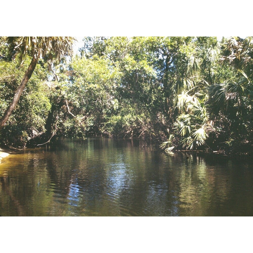 Kodak Slide 35mm 1940s Red Border, tranquil, narrow waterway in Florida